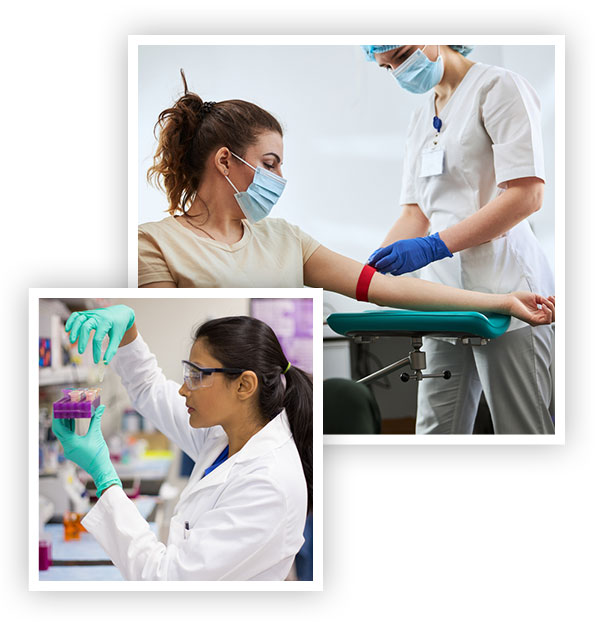 Phlebotomist